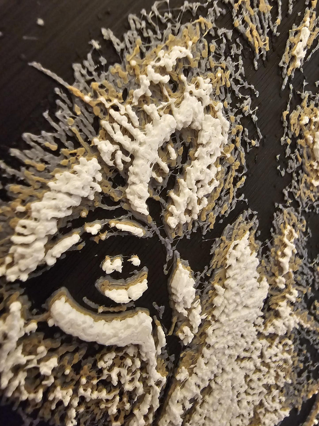 3D HueForge Lion Print | Majestic Wildlife Wall Art, Framed Black & White Portrait